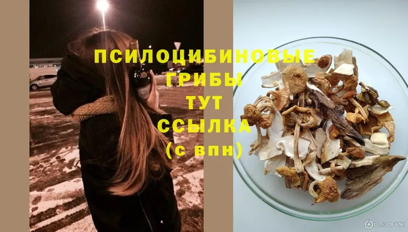 Галлюциногенные грибы MAGIC MUSHROOMS  Абинск 